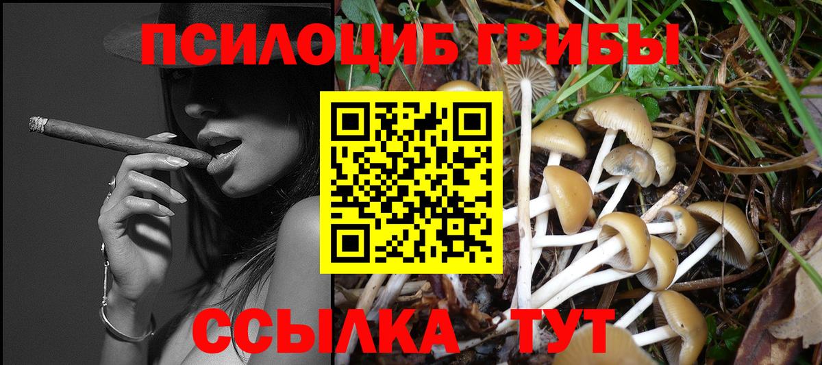 Псилоцибиновые грибы мицелий Сафоново