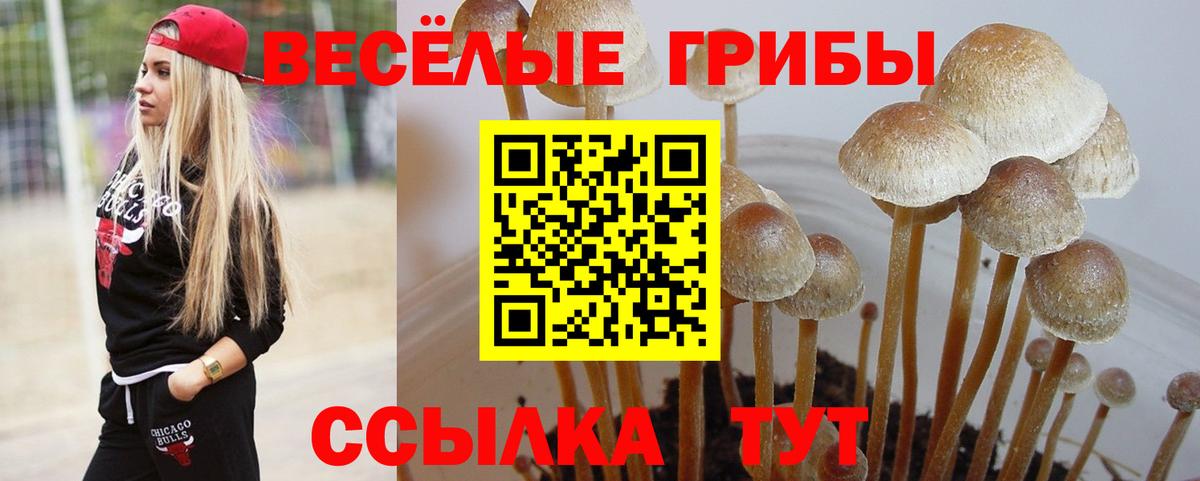 Сафоново  Псилоцибиновые грибы GOLDEN TEACHER  Вход с VPN 